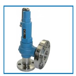 SAFETY & RELIEF VALVES